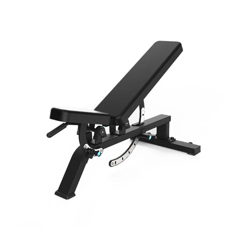 Heavy Equipment Gym - معدات صالة الألعاب الرياضية: مقعد تدريب